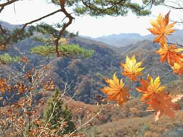 桂林打胎药哪个危害更大一点（打胎药哪个危害更大一点呢）
